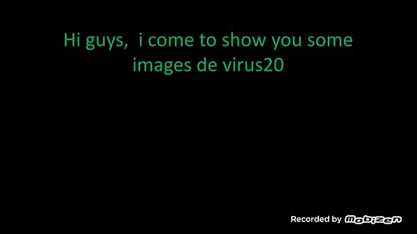 the best booties of virus20